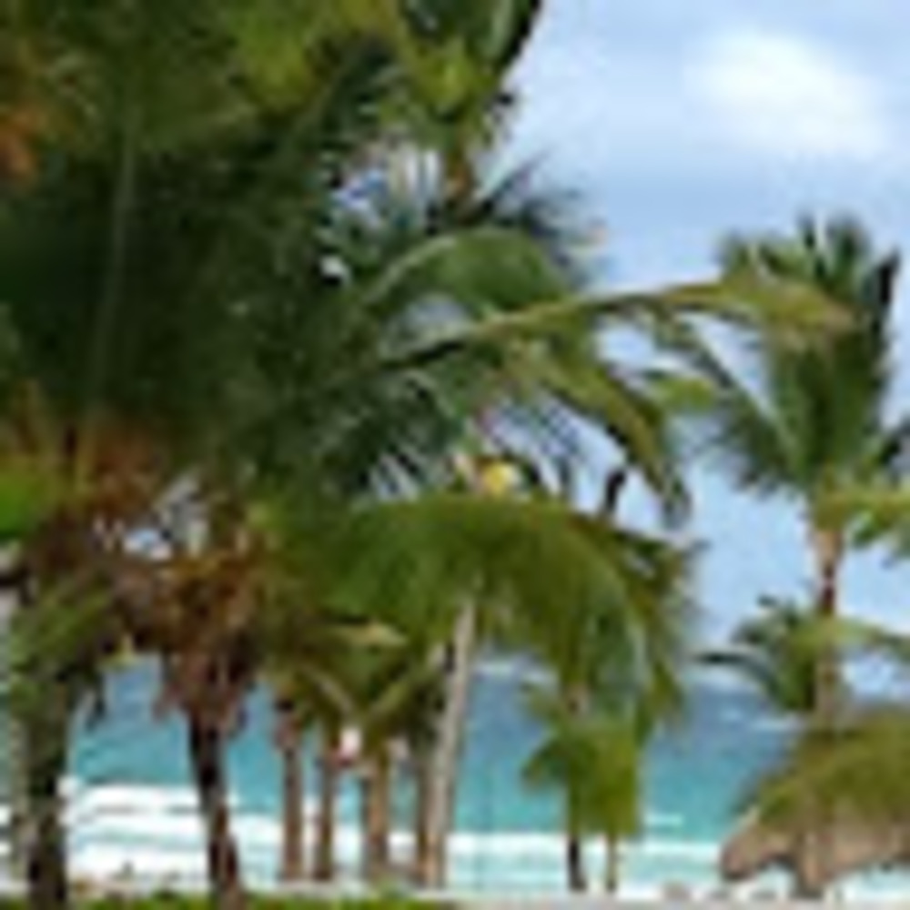 Meet your Posher, Sandy